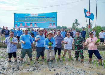 Revolusi Pertanian Menanam Padi, Robinsar Janji Tingkatkan Kesejahteraan Petani