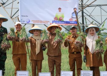 Ratu Zakiyah: Program Ratu Tani Wujudkan Swasembada Pangan