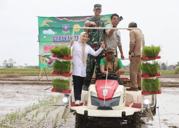 Bupati Serang Ratu Rachmatuzakiyah Dorong Gerakan Tanam Padi Modern