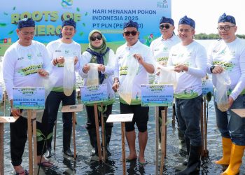 Perkuat Sabuk Hijau Pesisir, Gubernur Banten Andra Soni Ajak Masyarakat Rawat Mangrove