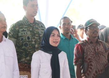 Bupati Ratu Zakiyah Sebut Produksi Padi di Kabupaten Serang Surplus